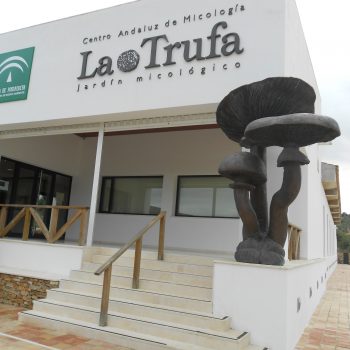1210 Jardin La Trufa Jardín Micológico La Trufa