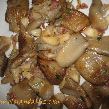 Setas a la placha Setas a la plancha con jamón