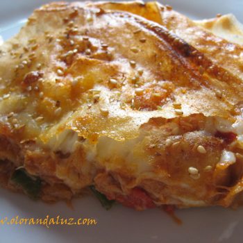 Empanada de atun con pasta filo Empanada de atún con pasta filo