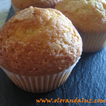 Magdalenas 2 Magdalenas caseras