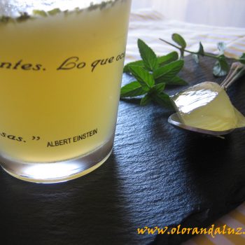 gelatina-de-mojito Gelatina de mojito