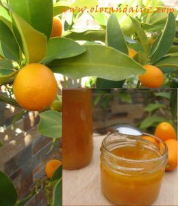 mermelada-de-naranjas-chinas