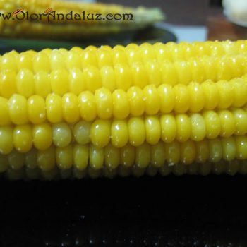 Mazorca-de-maiz Mazorca-de-maiz