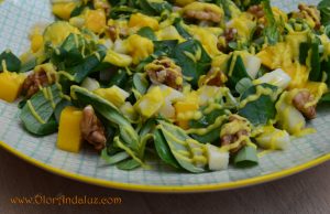 ensalada-de-mango