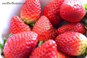 Fresas