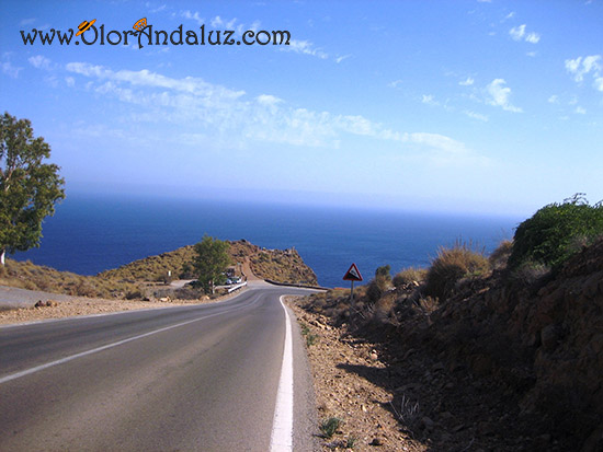 carretera-cabo-de-gata